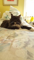 20180131_150245.jpg