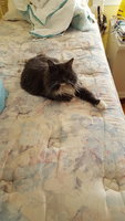 20180131_150259.jpg