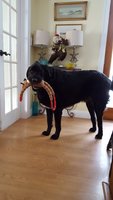 20171225_105013.jpg