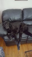 20171225_144045.jpg