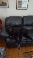 20171225_144107.jpg