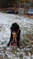 20171226_143056.jpg