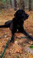 20171107_153158.jpg