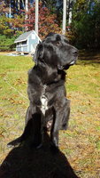 20171110_121612.jpg