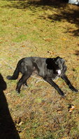 20171110_121709.jpg