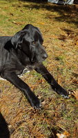 20171110_121841.jpg