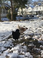 D015B2FD-4B61-4191-AEFA-791AC54B10A3.jpeg