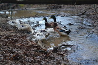 DSC_2281.JPG DSC_2281.JPG