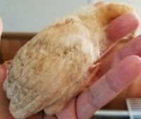 20180306_143857.jpg