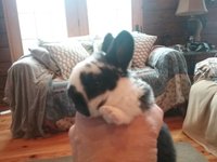 20180311_175426.jpg
