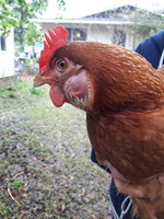 20180311_164218.jpg