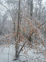 20180312_124335.jpg