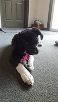 20180312_130231.jpg