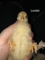 IMG_1981.jpeg