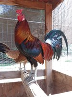 20180312_123638.jpg