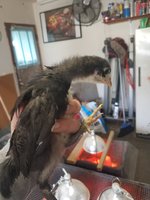 20180312_165226.jpg
