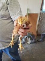 20180312_165004.jpg