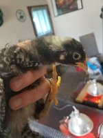 20180312_165359.jpg