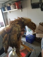 20180312_164914.jpg