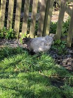 IMG_20170502_090555.jpg