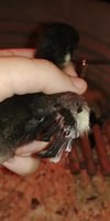 20180313_143106.jpg