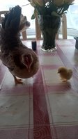 WP_20180309_12_29_35_Pro.jpg