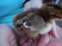 DSCF2621.JPG