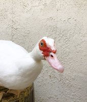 image2.jpeg