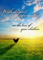 Chicken Sympathy.jpg