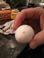 IMG20180315215851.jpg