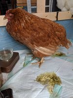 MVIMG_20180315_132816.jpg