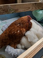 MVIMG_20180315_133916.jpg