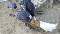 20180303_072235.jpg