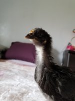 20180316_114208.jpg