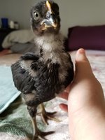 20180316_113941.jpg