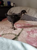 20180316_114110.jpg