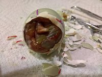WP_20171027_11_34_22_Pro_LI.jpg