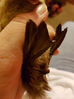 20180316_205741.jpg 20180316_205741.jpg