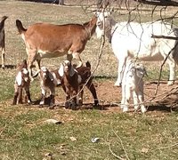 IMG_20180308_114211.jpg