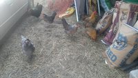 IMG_20180317_113134718.jpg