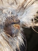 20180317_112001.jpg