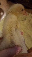 20180318_093939.jpg