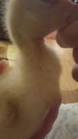 20180318_094033.jpg