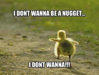 I-dont-wanna-be-a-nugget-i-dont-wanna.jpg