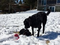 180318_024002_3.jpeg