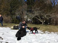 180318_024003_5.jpeg
