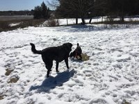 180318_024003_7.jpeg