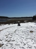 180318_024003_9.jpeg