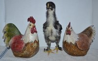Trois with chickens.jpg