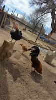 Rudy.Tootie.9Mar18.jpg